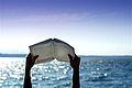 090528-vacation-reading.hmedium_1_.jpg