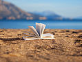 BookBeachSummer.jpg
