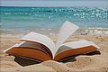 bookinthebeach.jpg